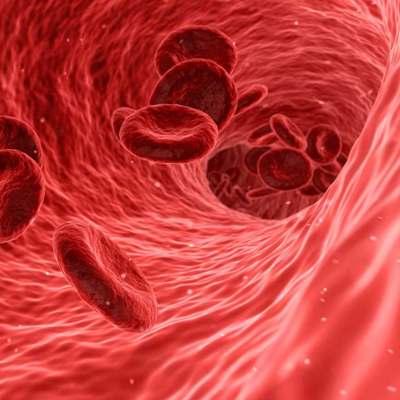 Диагностика и лечение анемии