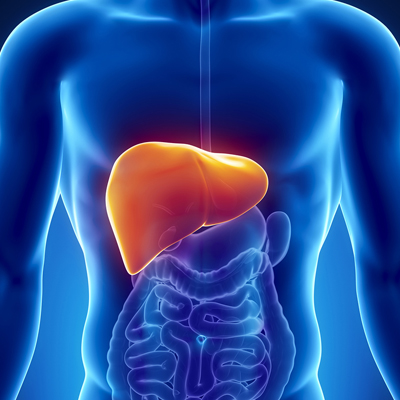 Заболевания печени
